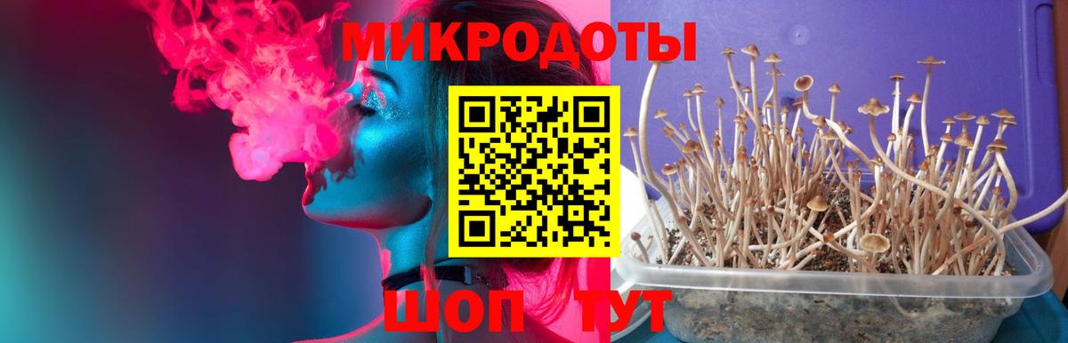 Псилоцибиновые грибы прущие грибы Урай